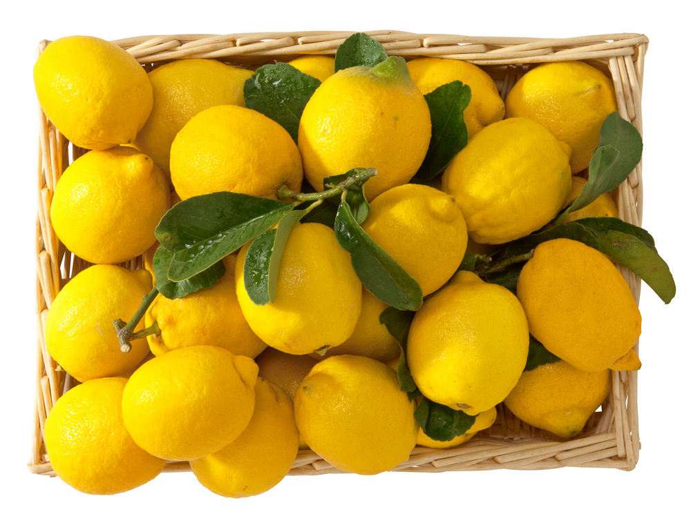 Как хранить лимоны в домашних условиях — 5 моих любимых способов
