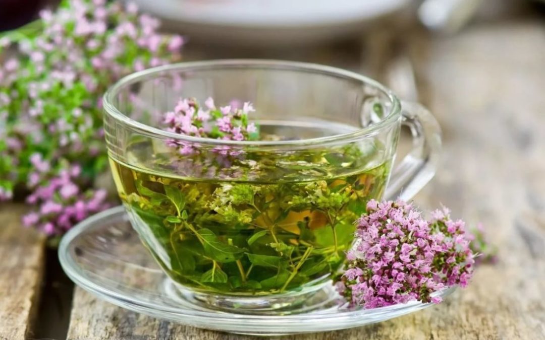Чай с тимьяном укрепляет сопротивляемость организма к простудным заболеваниям. Заваривать можно и свежую и сухую траву
