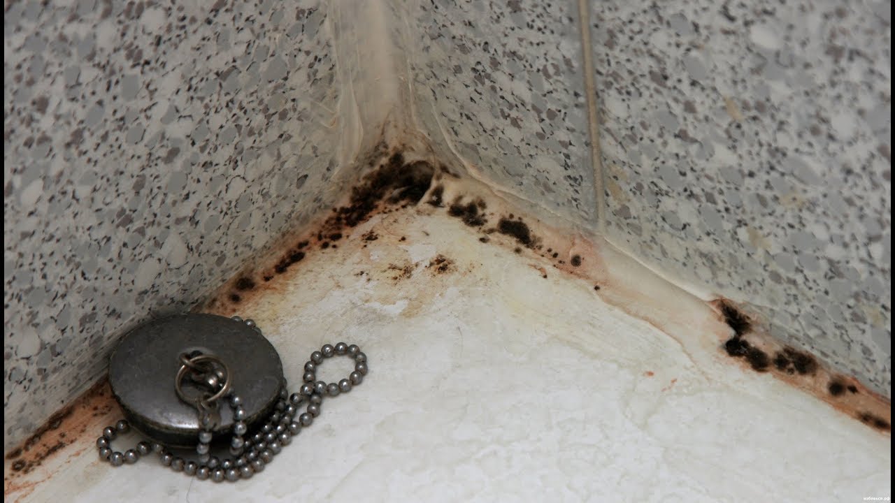 Повышенная влажность в ванной комнате приводит к налету, он появляется чаще всего на стыке плитки и ванны. На фото, пример образования плесени — угроза здоровью.