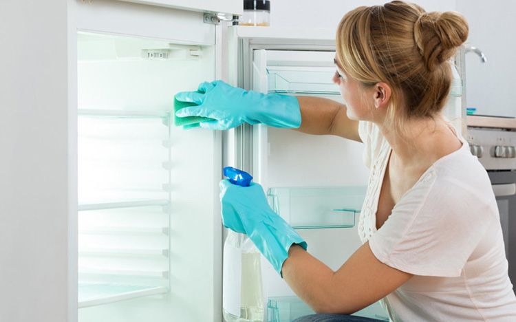Своевременная уборка сохранит холодильник чистым
